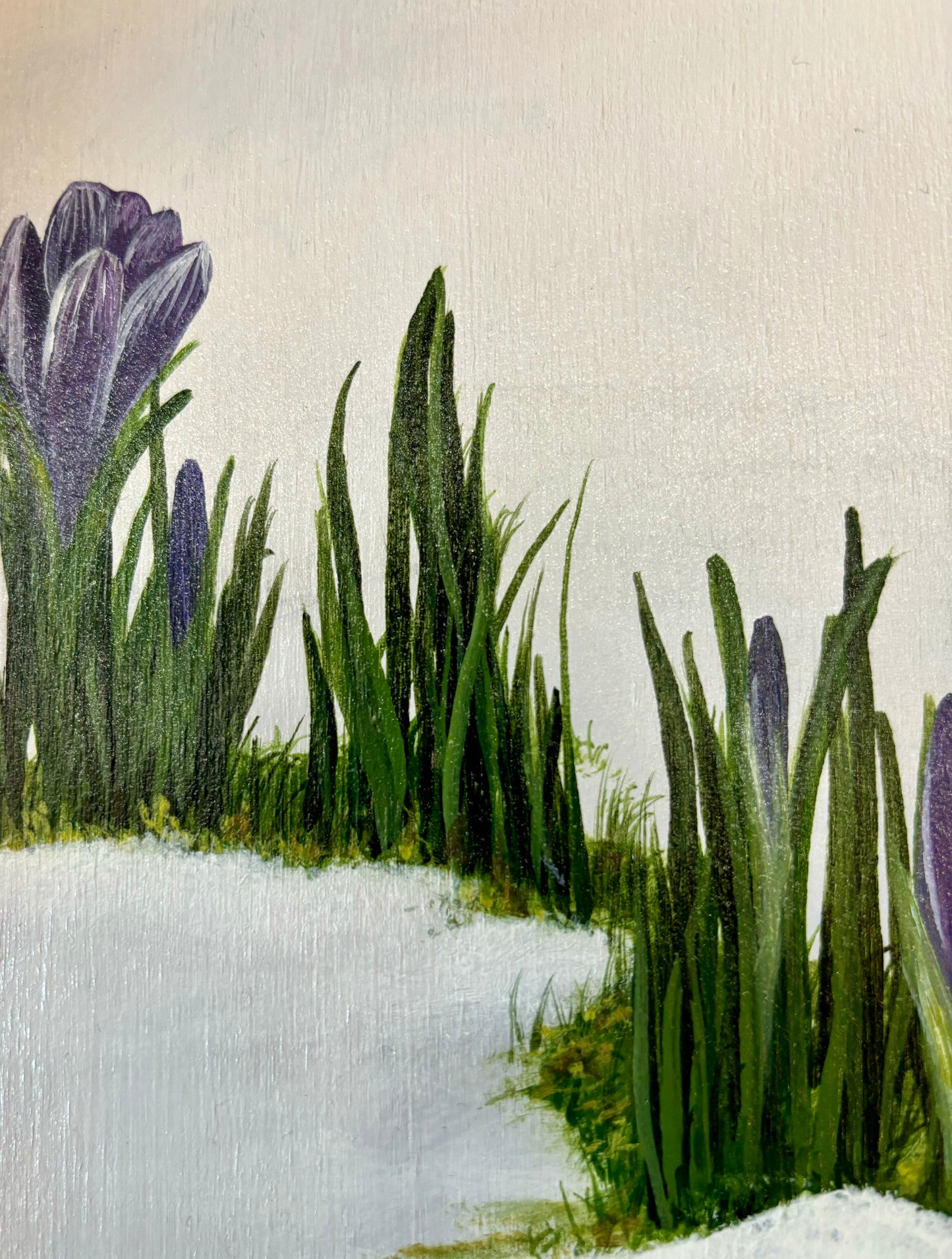 Spring Awakenings