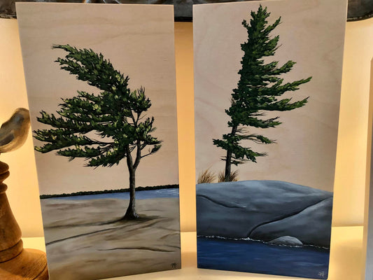 Windswept on exposed birch I and II