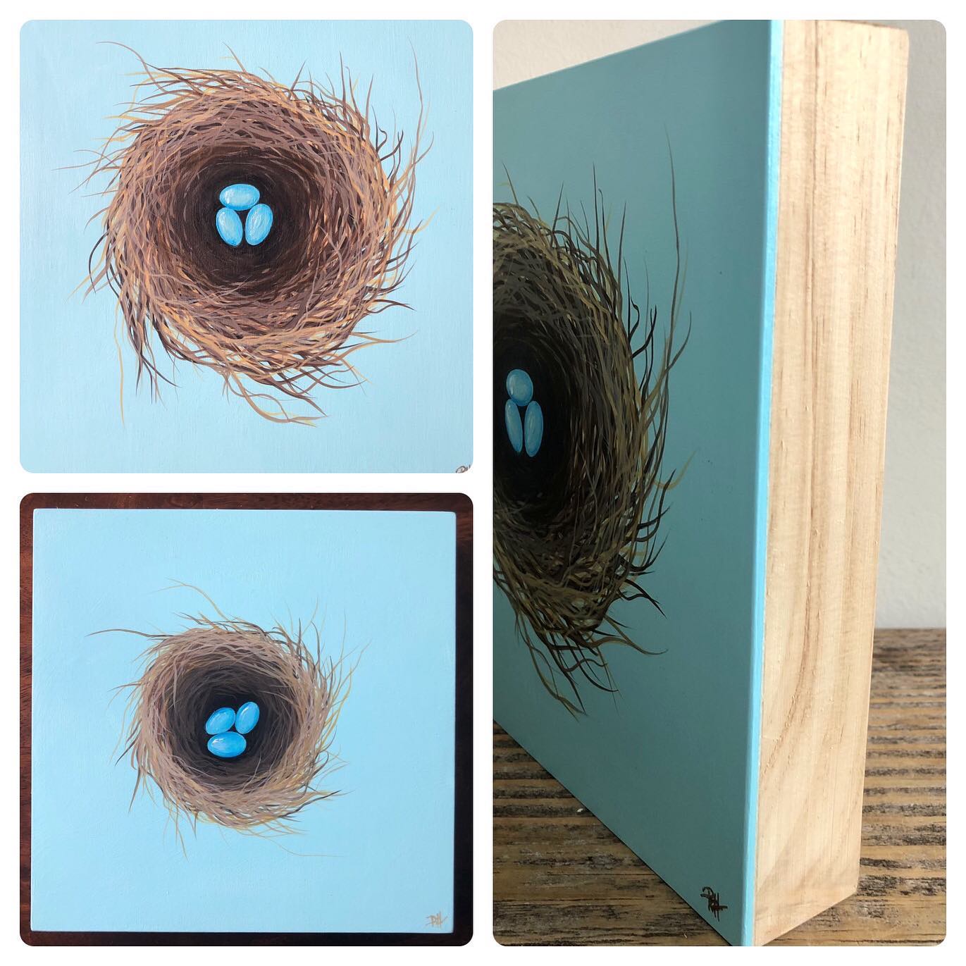 Spring Nest