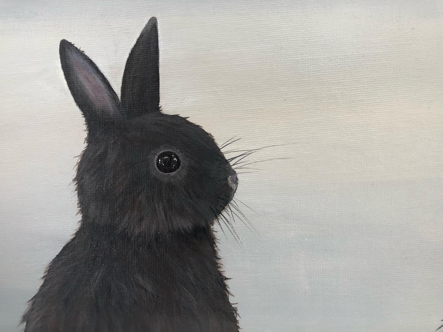 Bun Bun