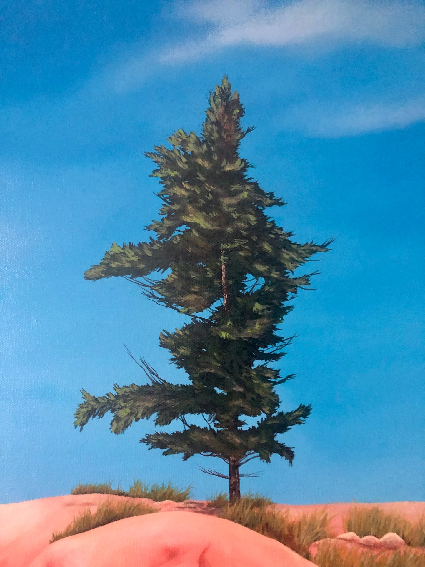 Canadian Shield