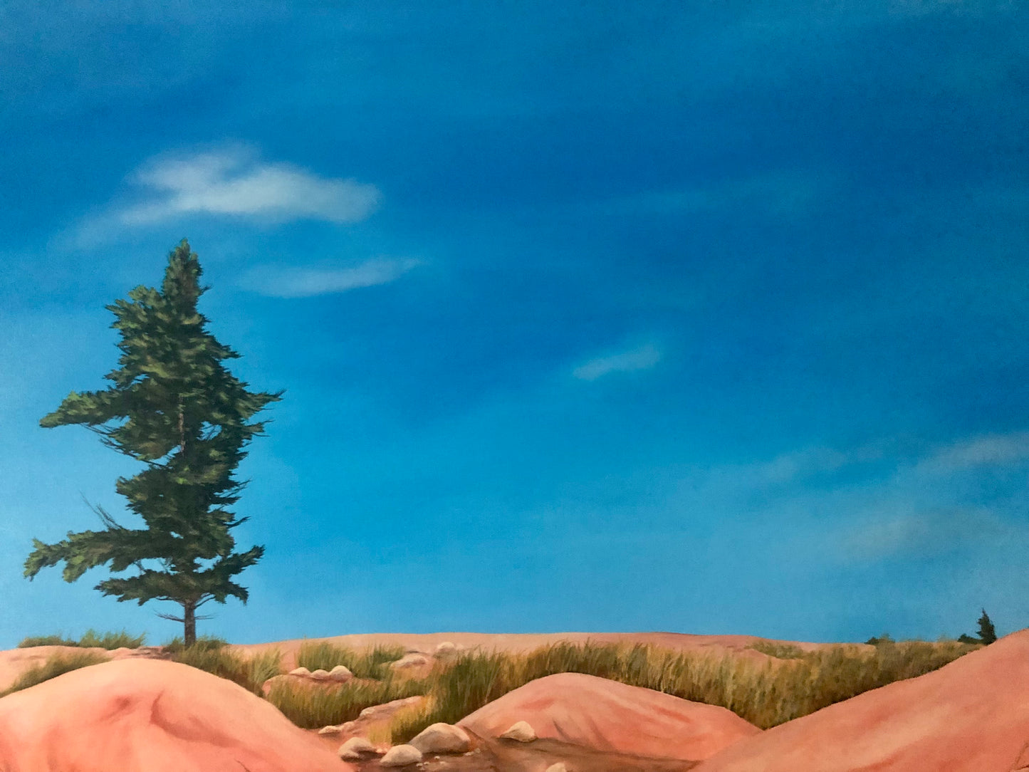 Canadian Shield