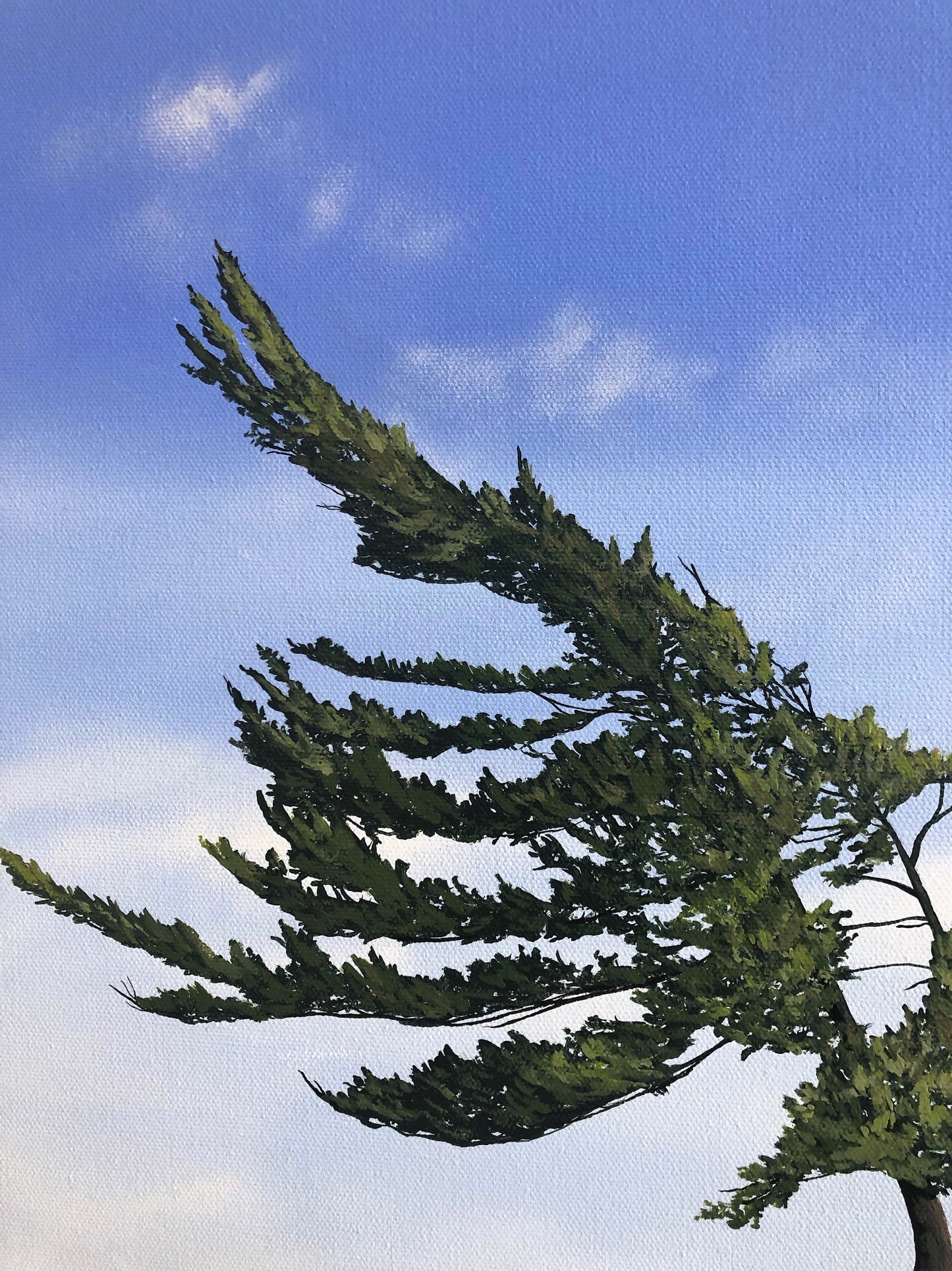 Windswept