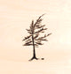 Pair of wood burned windswept pines on birch panels